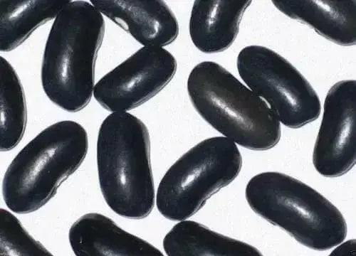 Cherokee Wax bean Seeds, (Bush Bean) heavy producer,55 days.