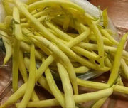 Cherokee Wax bean Seeds, (Bush Bean) heavy producer,55 days.