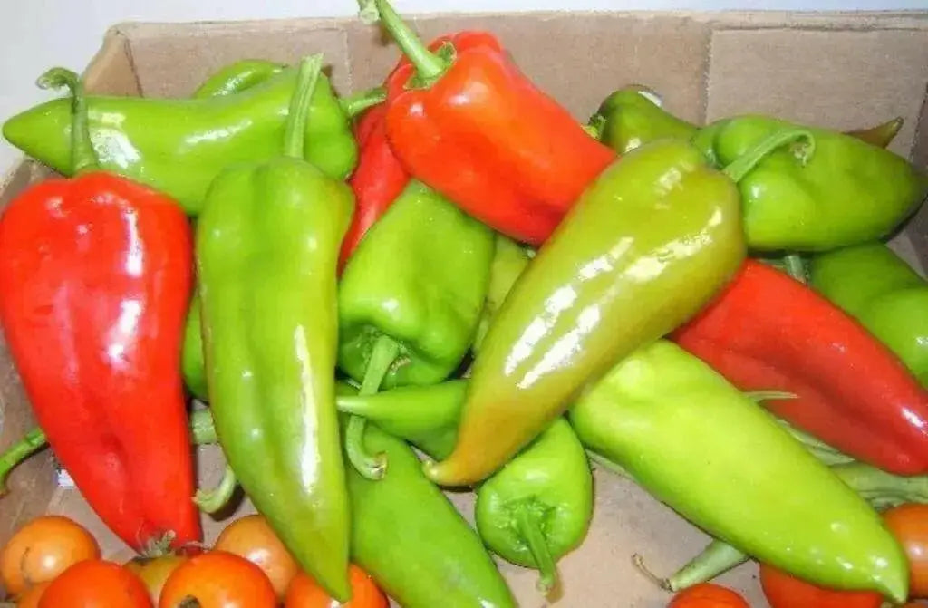 Chervena Chushka ,Sweet Pepper SEEDS (Capsicum annuum) - Caribbean garden seed