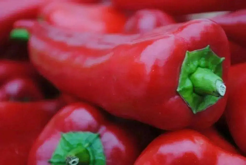 Chervena Chushka ,Sweet Pepper SEEDS (Capsicum annuum) - Caribbean garden seed