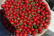 Cherry Bomb , HOT PEPPER SEEDS ( Capsicum annuum ) Medium heat - Caribbean garden seed