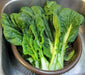 Chinese Cabbage Seeds .Vitaminna, Asian Vegetable - Caribbean garden seed