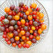 CHERRY TOMATO  - LIVE PLANT, GARDEN VEGETABLE - Caribbean garden seed