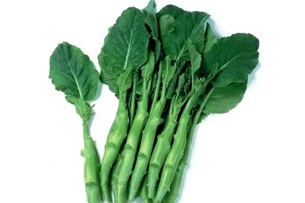 Chinese Broccoli Seeds, Asian Vegetable, - Caribbean garden seed