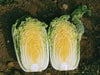 Chinese Cabbage Seeds,  (Kyoto No. 3) , Asian Vegetable - Caribbean garden seed