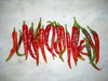 Chile de Arbol, Red Hot Chili Pepper Seeds ,capsicum annuum - Caribbean garden seed