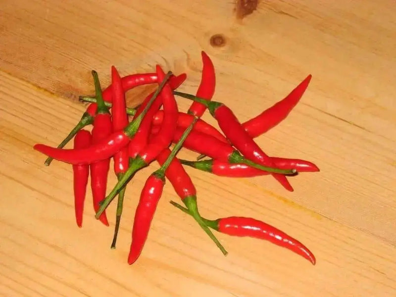 Chile de Arbol, Red Hot Chili Pepper Seeds ,capsicum annuum - Caribbean garden seed