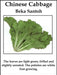 Chinese Cabbage"Beka Santoh" Asian Vegetable, - Caribbean garden seed