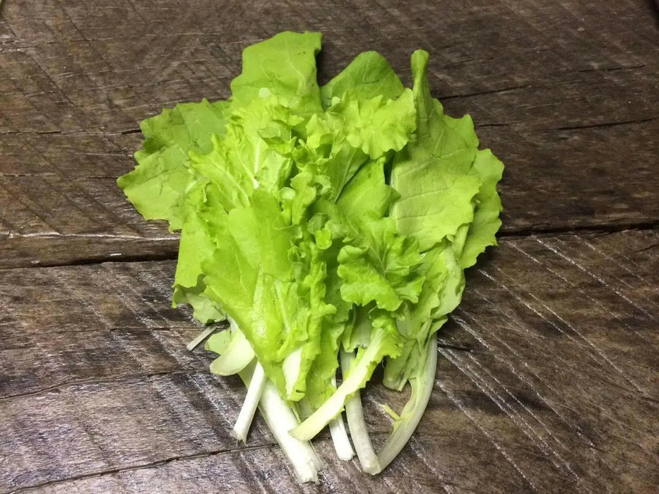 Chinese Cabbage"Beka Santoh" Asian Vegetable, - Caribbean garden seed