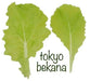 Chinese cabbages SEEDS.Tokyo Bekana, Asian Vegetable - Caribbean garden seed