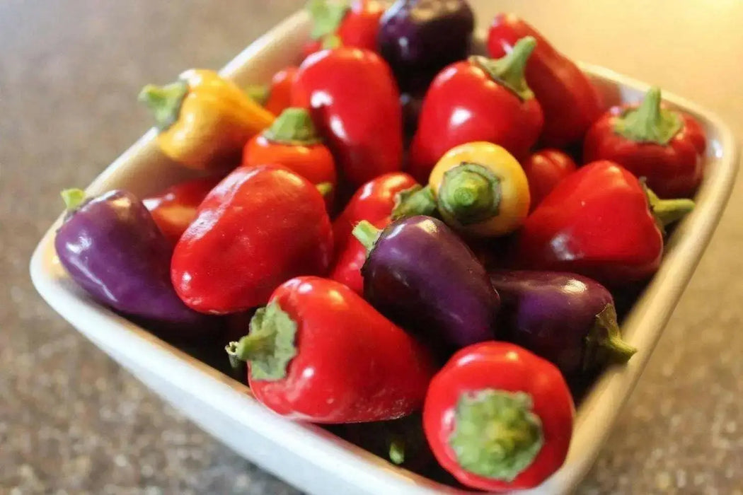 Chinese FIVE COLOR PEPPER ornamental and edible, Aisian Vegetable - Caribbean garden seed