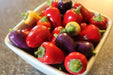Chinese FIVE COLOR PEPPER ornamental and edible, Aisian Vegetable - Caribbean garden seed