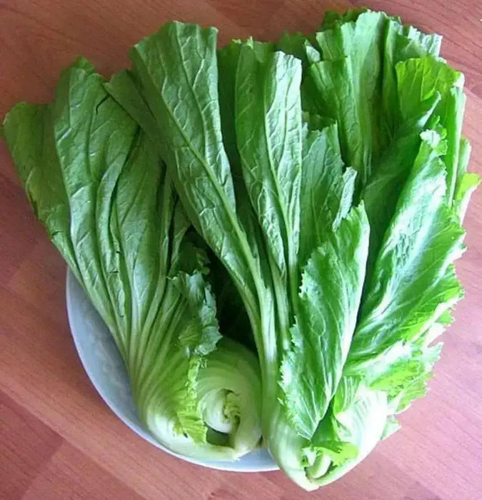 Chinese Mustard SEEDS ,Kekkyu Takana - . Asian Vegetable - Caribbean garden seed