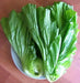 Chinese Mustard SEEDS ,Kekkyu Takana - . Asian Vegetable - Caribbean garden seed