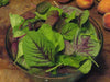 CHINESE SPINACH SEEDS- Asian Vegetables ,Red Stripe Leaf,Edible Amaranth - Caribbean garden seed