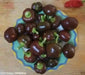 CHOCOLATE CHERRY PEPPER (10 SEEDS ) Capsicum annuum, Mild.