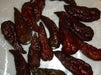 Chocolate Bhut Jolokia or Ghost Chile,Capsicum Chinense)Ghost pepper. - Caribbean garden seed