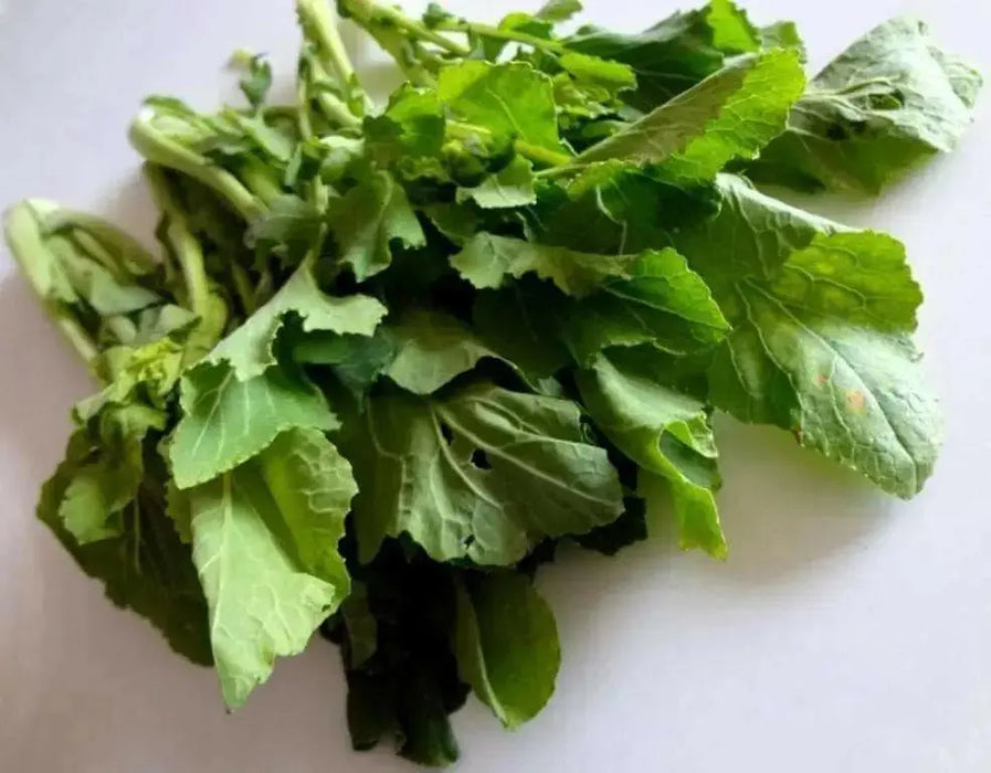 Chrysanthemum Greens, Garland Round -Asian Vegetable,~ Bi-annual - Caribbean garden seed