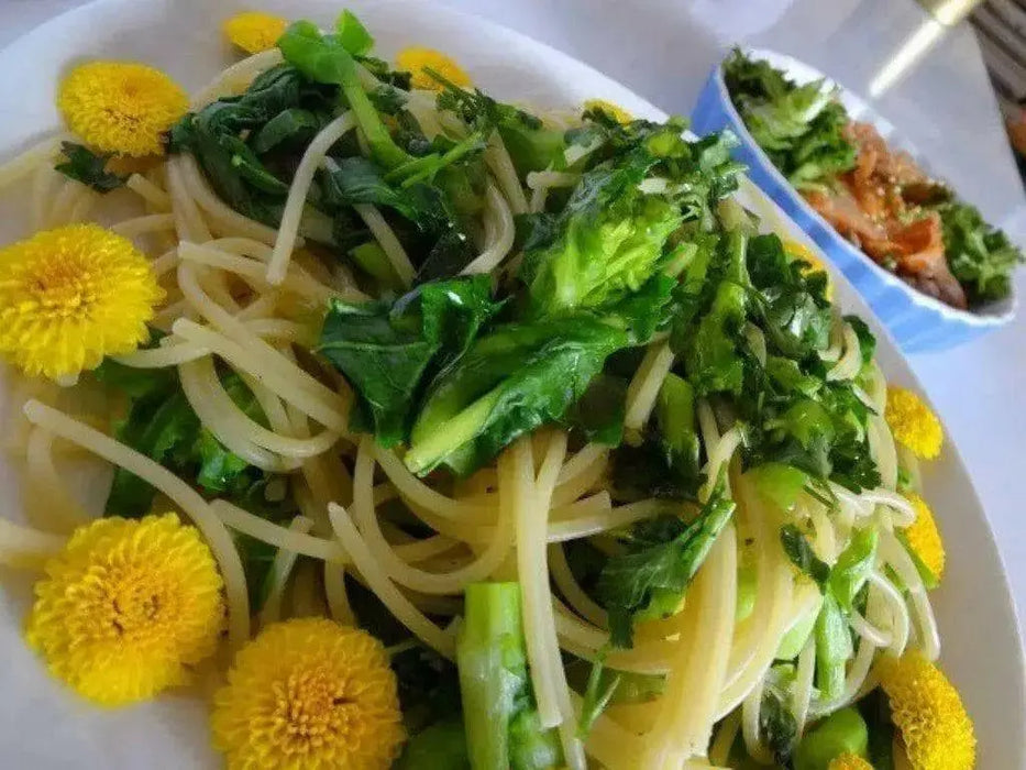 Chrysanthemum Greens, Garland Round -Asian Vegetable,~ Bi-annual - Caribbean garden seed