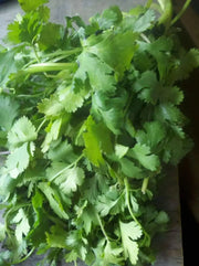 Cilantro Seeds (Coriander) Slow-Bolting Herb - Caribbean garden seed