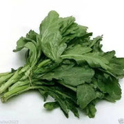 Chrysanthemum Greens SEED, ,Asian Vegetable ,microgreens - Caribbean garden seed