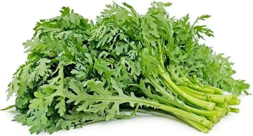 Chrysanthemum Greens SEED, ,Asian Vegetable ,microgreens - Caribbean garden seed