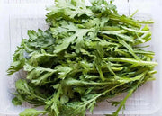 Chrysanthemum Greens SEED, ,Asian Vegetable ,microgreens - Caribbean garden seed