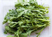 Chrysanthemum Greens SEED, ,Asian Vegetable ,microgreens - Caribbean garden seed
