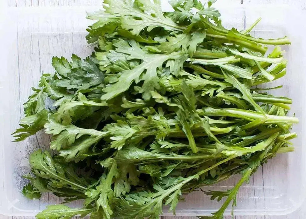 Chrysanthemum Greens SEED, ,Asian Vegetable ,microgreens - Caribbean garden seed