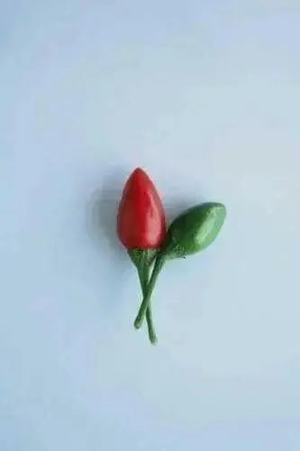 Coban hot Pepper - 10 Seeds, (Capsicum annuum) from Guatemala, hot. - Caribbean garden seed