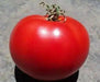 Cobra Tomato Seeds, Very productive Vegetable 10 Seeds - Caribbean garden seed