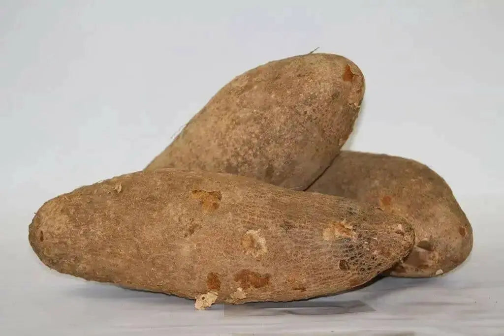 COLUMBIAN YAM , JAMAICAN White Yam ,CARIBBEAN PRODUCTS - Caribbean garden seed