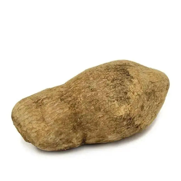 COLUMBIAN YAM , JAMAICAN White Yam ,CARIBBEAN PRODUCTS - Caribbean garden seed