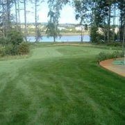 Combat Extreme Lawn Grass Seeds .Transition Zone, Grass Seed blend, three way turf type fescue grass seed - Caribbean garden seed