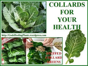 COLLARD Greens, Vates, ORGANIC vegetable  Seeds, - Caribbean garden seed