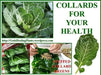 COLLARD Greens, Vates, ORGANIC vegetable  Seeds, - Caribbean garden seed