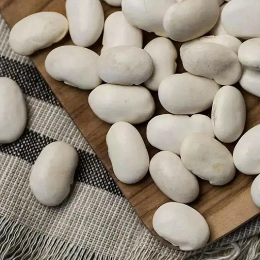 Corona  White lima Beans,Pole, Vegetable - Caribbean garden seed