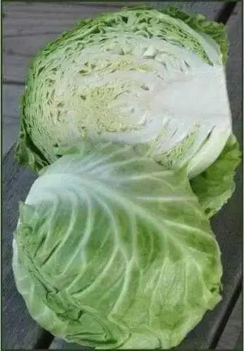 Copenhagen market cabbage Seeds.,Leafy Vegetable,.