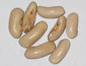 Contender Bean Seed  ( Phaseolus vulgaris-BUSH)  Ready in 40 to 45 days - Caribbean garden seed