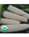 Country Gentleman" Corn Seed  (O.P.Open pollination) Heirloom - Caribbean garden seed