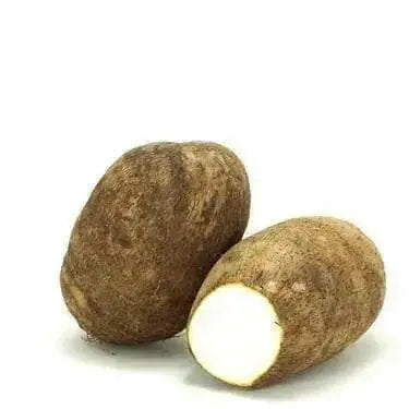 Costa Rican White Yam or Name root, CARIBBEAN ROOT VEGETABLE - Caribbean garden seed