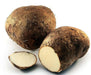 Costa Rican White Yam or Name root, CARIBBEAN ROOT VEGETABLE - Caribbean garden seed
