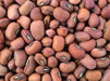Cowpeas (vigna unguiculata) Southern Pea,Heirloom - Caribbean garden seed