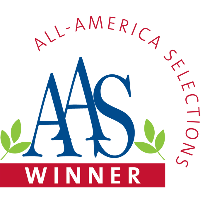 COSMOS  Radiance ,Flowers SEED- (Cosmos bipinnatus) Annual, AAS Winner - Caribbean garden seed