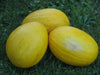 Crenshaw Melon Seeds,HEIRLOOM Cucumis melo, Organic , Utreated non gmo - Caribbean garden seed