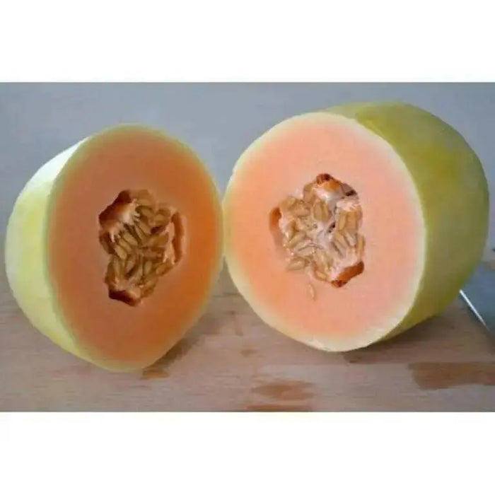 Crenshaw Melon Seeds,HEIRLOOM Cucumis melo, Organic , Utreated non gmo - Caribbean garden seed
