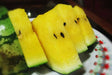 Crimson Sweet-Watermelon seeds - YELLOW - Caribbean garden seed