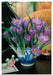 Crocus Indoor Forcing Kit - Ceramic Pot, & 10 Crocus Bulbs, Great Gift - Caribbean garden seed