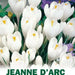 Crocus Bulbs,Jeanne d'Arc,White, fall planting - Caribbean garden seed