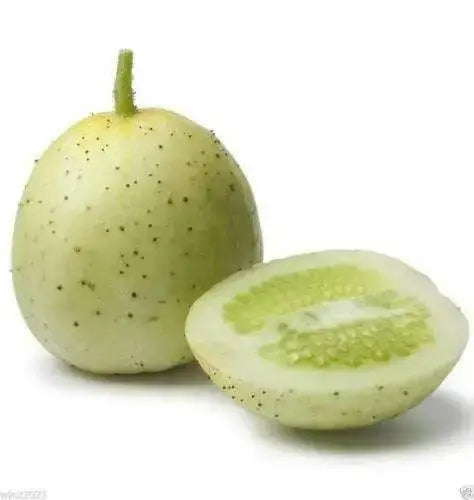 Crystal Apple CUCUMBER SEEDS,annual vegetables - Caribbean garden seed